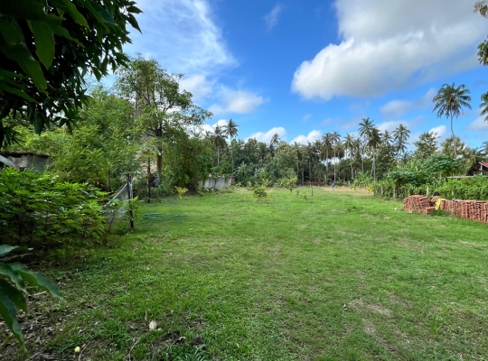 Fertile land for sale