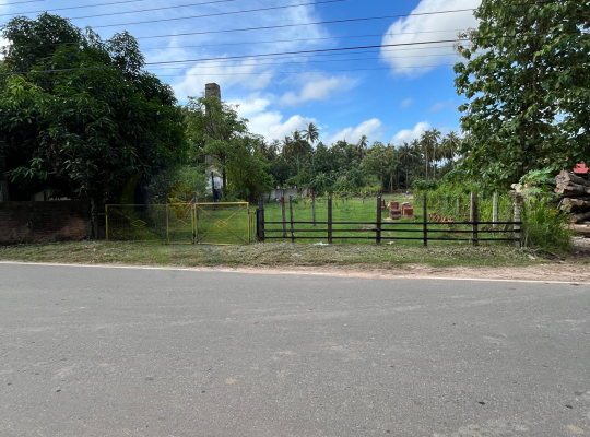 Fertile land for sale
