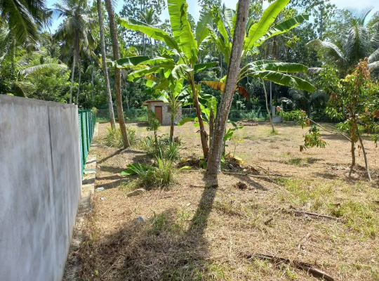 A valuable plot for sale