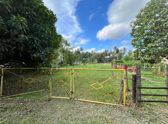 Fertile land for sale