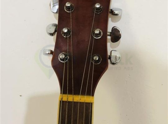 Guitar