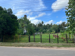 Fertile land for sale