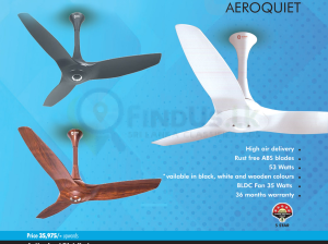 Ceiling Fan