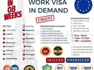 European Visa and Job