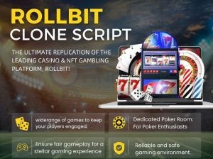 Rollbit Clone Script for Engaging Users with Live