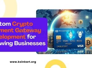 Custom Crypto Payment Gateway Development for Grow